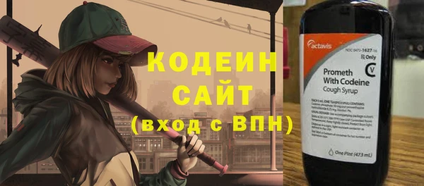 трава Снежинск