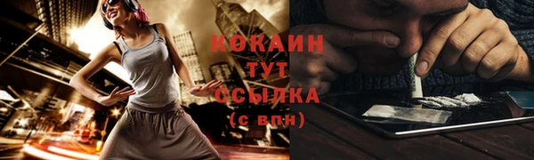 дмт Новодвинск