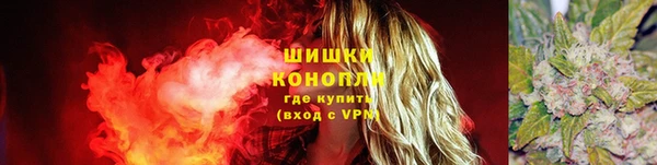 дмт Новодвинск