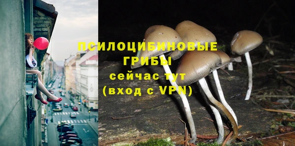 герыч Нея