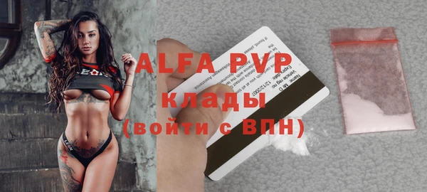дмт Новодвинск