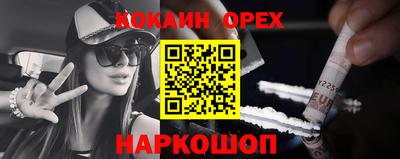 амф Гатчина