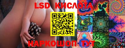 амф Гатчина