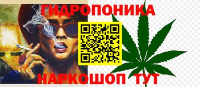 амф Гатчина