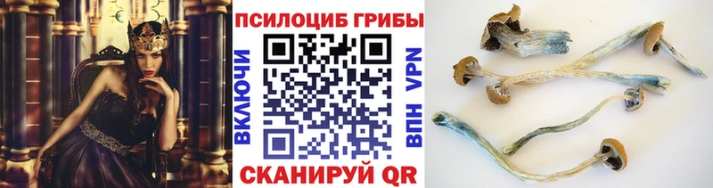 Псилоцибиновые грибы MAGIC MUSHROOMS  это телеграм  Менделеевск  OMG ONION 