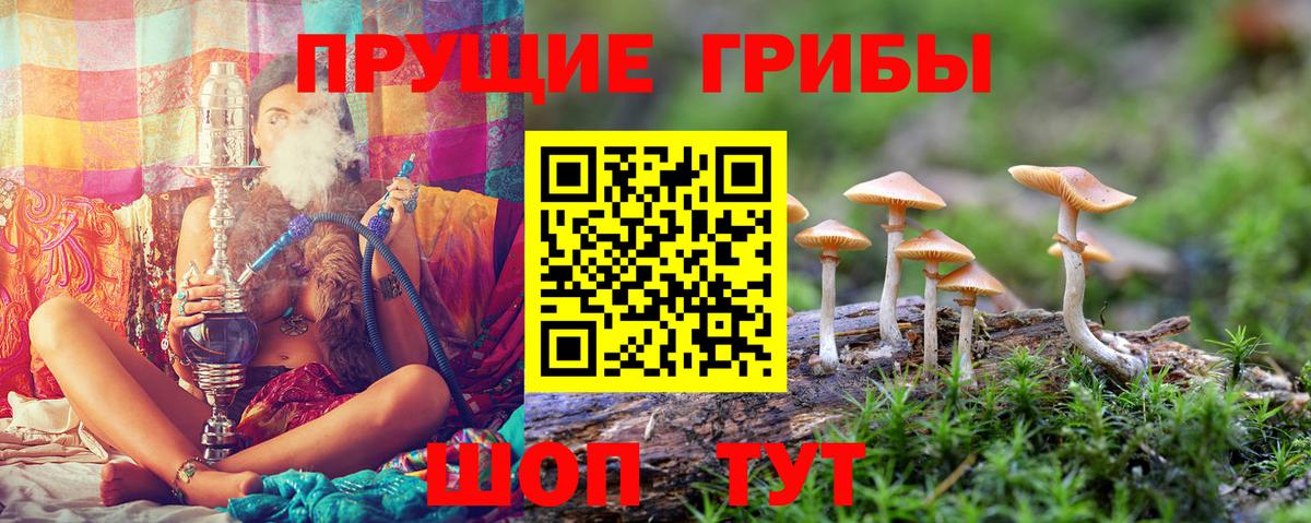 Галлюциногенные грибы MAGIC MUSHROOMS Менделеевск