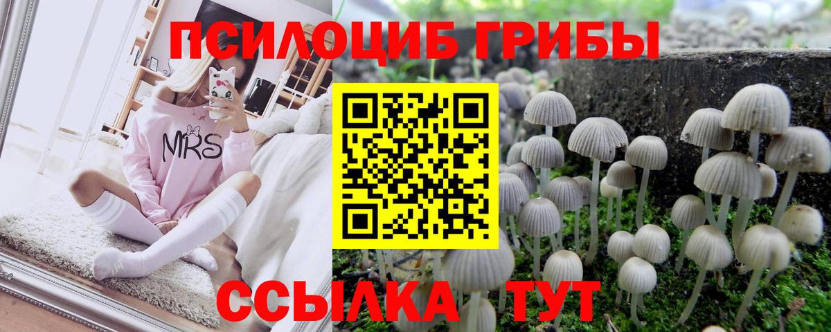 Менделеевск  Галлюциногенные грибы мицелий  Вход с VPN 