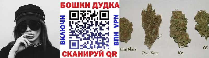 Канабис SATIVA & INDICA  купить   Менделеевск 